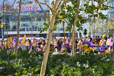 DSC_7104 (Large).JPG